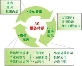 安佑集團(tuán)開(kāi)辟養(yǎng)豬網(wǎng)絡(luò)技術(shù)服務(wù)專區(qū) 數(shù)字化賦能養(yǎng)殖業(yè)新篇章